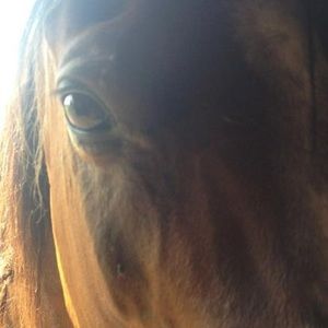 Meet your Posher, Kathy